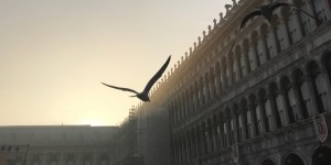 Beitragsbild des Blogbeitrags Venedig im Nebel – eine Bilderwelt 