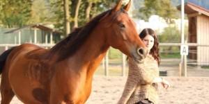 Beitragsbild des Blogbeitrags Freiarbeit mit Pferden – Was bedeutet sie für dich? 