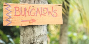 Beitragsbild des Blogbeitrags Surf and Yoga at Costeno beach