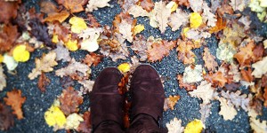 Beitragsbild des Blogbeitrags Blog-tember #22: Herbstlieblinge 