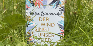 Beitragsbild des Blogbeitrags Buchclub // Leserunde zu Der Wind singt unser Lied von Meike Werkmeister 