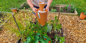 Beitragsbild des Blogbeitrags Bewässerung im Naturgarten mit Terracotta 