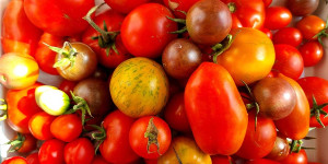 Beitragsbild des Blogbeitrags Meine Kräuter-Tomatensoße 
