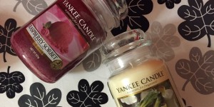 Beitragsbild des Blogbeitrags Yankee Candle USA Treasures Mai 2016 - Raspberry Sorbet und Pina Colada - Review 