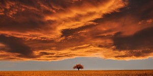 Beitragsbild des Blogbeitrags Der Sinn des Lebens