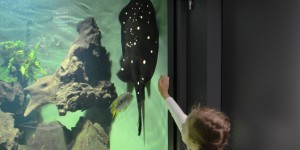Beitragsbild des Blogbeitrags Kids Love Haus der Natur in Salzburg