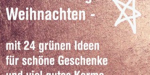Beitragsbild des Blogbeitrags Spielzeugmuseum Salzburg und nachhaltigeWeihnachten 
