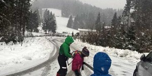 Beitragsbild des Blogbeitrags Christbaum selber schlagen: Hol Dir Deinen Tannenbaum aus dem Wald – Tür 10