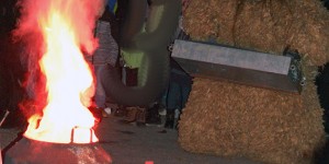 Beitragsbild des Blogbeitrags Kennt ihr sie auch die Energievampire? Tür 13