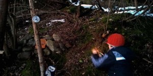 Beitragsbild des Blogbeitrags Weihnachten im Wald und auf Skiern