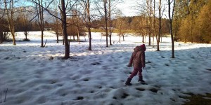 Beitragsbild des Blogbeitrags Spuren lesen im Winterwald 