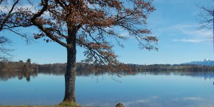 Beitragsbild des Blogbeitrags Natur und Kunst im Werdenfelser Land mit Kindern entdecken
