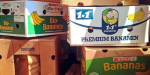 Beitragsbild des Blogbeitrags Umzug mit Kindern: genug Zeit, damit die Seele mitkommt