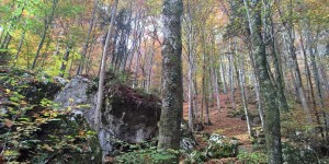Beitragsbild des Blogbeitrags Herbst mit Kindern: Spiele und Rezepte