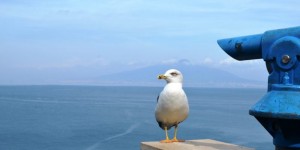 Beitragsbild des Blogbeitrags Italy Road Trip – Amalfi Coast like a Local 