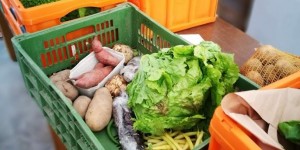 Beitragsbild des Blogbeitrags FoodCoop – was ist das? Nachhaltig leben lernen. 