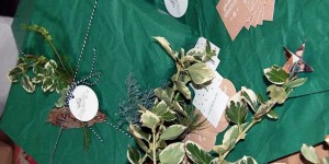 Beitragsbild des Blogbeitrags Geschenke verpacken in Altpapier (inkl. Verlosung Fotodrucksachen)