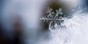 Beitragsbild des Blogbeitrags Naturwissenschaften für Kinder erfahrbar machen