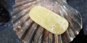 Beitragsbild des Blogbeitrags Haare schön: Echte Alternative zu flüssigem Shampoo in Plastikflaschen 