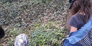 Beitragsbild des Blogbeitrags PokemonGo & Garten: Balance von Natur & Digital finden