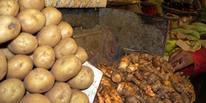 Beitragsbild des Blogbeitrags Was koche ich bloß? Alternativen zur Kartoffel