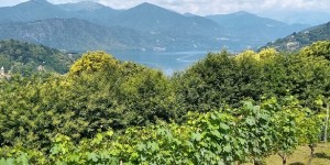 Beitragsbild des Blogbeitrags Slow Food in Northern Piedmont