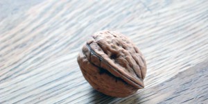 Beitragsbild des Blogbeitrags Bio-Walnüsse aus Deutschland – so wirst du Baumpate