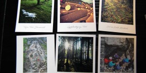 Beitragsbild des Blogbeitrags Kalender und Fotogeschenke – persönlich, selbst gestaltet