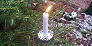 Beitragsbild des Blogbeitrags Alternativer Tannenbaum – Waldweihnacht mit Kindern