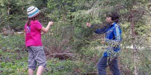 Beitragsbild des Blogbeitrags Wildkräuter sammeln im Frühling: allein im Wald