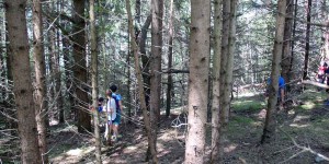 Beitragsbild des Blogbeitrags Geocaching Kindergeburtstag mit Wanderung
