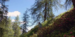 Beitragsbild des Blogbeitrags Naturspiele mit Holz und Steinen, Zapfen, Beeren & Co.