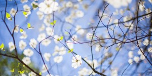Beitragsbild des Blogbeitrags Look Book Mai – Stay at Home Mama Spring Capsule Wardrobe