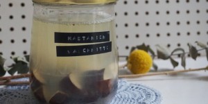 Beitragsbild des Blogbeitrags Öko-DIY | Kastanienwaschmittel
