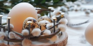 Beitragsbild des Blogbeitrags Osternest aus Palmkätzchen | Natürliche Deko für Ostern