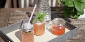 Beitragsbild des Blogbeitrags Rharbarber-Erdbeer-Sirup mit Ingwer 