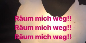 Beitragsbild des Blogbeitrags Corina Wochenbericht III | Freitagsgeschichten