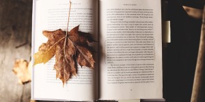 Beitragsbild des Blogbeitrags Herbst-Leseliste 2020