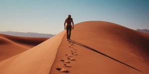 Beitragsbild des Blogbeitrags Helmet – Dead to the World