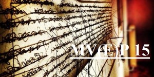 Beitragsbild des Blogbeitrags MV(E)P: Die 15 besten Kurzformate 2016