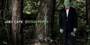 Beitragsbild des Blogbeitrags Joey Cape – Stitch Puppy 