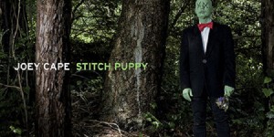 Beitragsbild des Blogbeitrags Joey Cape – Stitch Puppy
