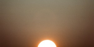 Beitragsbild des Blogbeitrags Dusted – Blackout Summer 