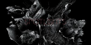 Beitragsbild des Blogbeitrags Spotlights – Love & Decay