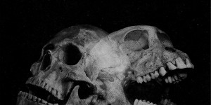 Beitragsbild des Blogbeitrags Sect – Blood of the Beasts