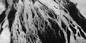 Beitragsbild des Blogbeitrags Jesse Draxler – Reigning Cement 