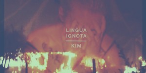 Beitragsbild des Blogbeitrags LINGUA IGNOTA – KIM