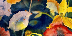 Beitragsbild des Blogbeitrags Adrianne Lenker – Songs + Instrumentals