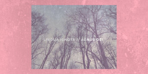 Beitragsbild des Blogbeitrags LINGUA IGNOTA – AGNUS DEI