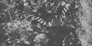 Beitragsbild des Blogbeitrags Knoll – Interstice